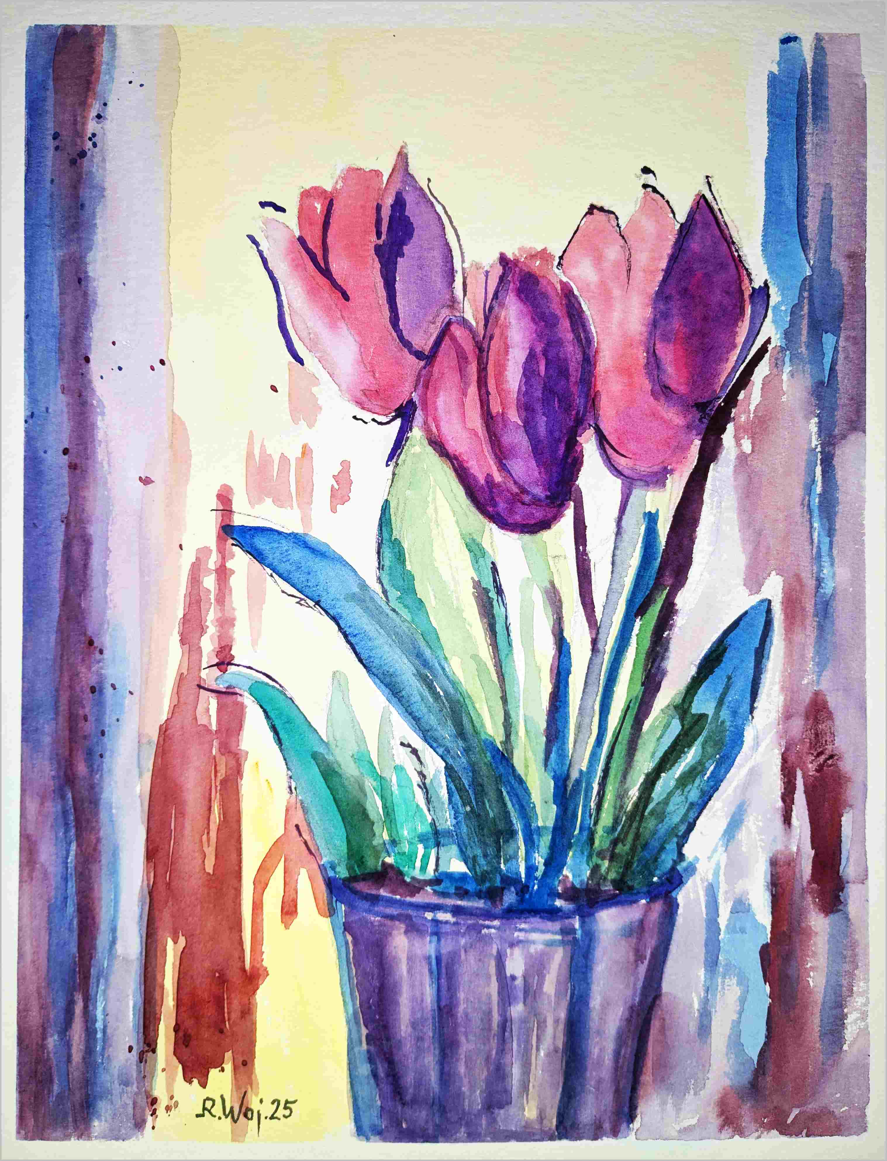   Tulpen violett